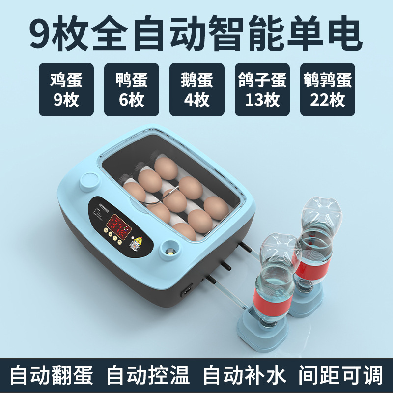 Incubadora, hogar pequeño, incubadora inteligente automática, incubadora, incubadora, loro, huevo de pájaro, pollo, pollo, pollo