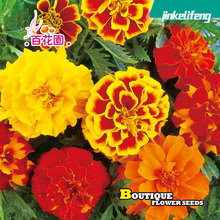 ��ȸ�ݷN���ͺ��ﲥ����ֲ��ͥԺ���Ծ��^���̈@�ֻ������ݻ��N��