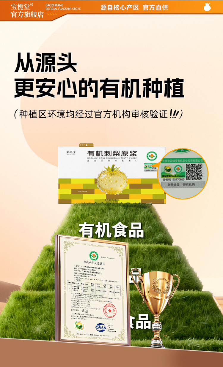 Organic Rosa roxburghii NFC Juice 30ml Sachets Guizhou Fresh Fruit Herbal Drink overview