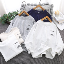 С�S�������l�� 2026���¿���̽���ͯ�A�I�� �к�Ů���L�����l