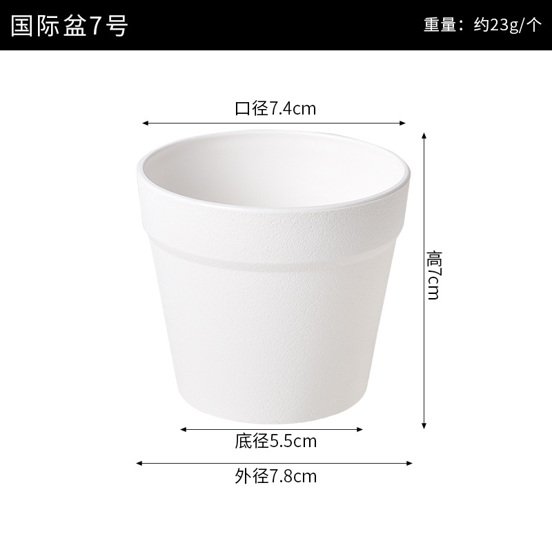 International basin no. 7 7.8*7*7.4cm