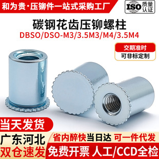 ä���������T����̼�ͨ�׻��X���T��ĸ���L���T�� DSO/DBSO-M3M4
