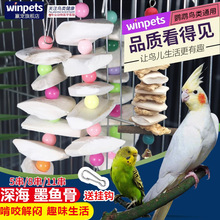 鹦鹉鸟解闷磨嘴磨牙玄凤虎皮牡丹用品用具鸟食吊串啃咬玩具墨鱼骨