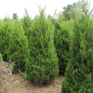 ��u ���� �u�� �ɘ���ؾG����ľ �ɰ� �ؘ�����������u��