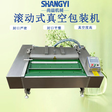 冷冻食品真空包装机海鱼连续式封口设备两排袋子干湿两用包装机