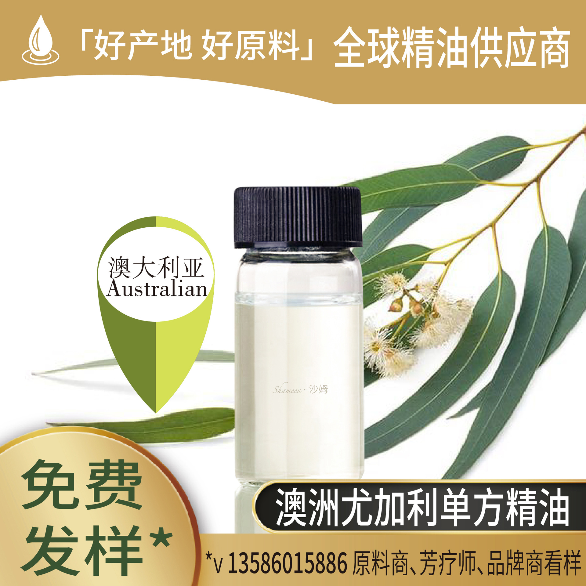 纯澳大利亚尤加利精油澳洲尤加利精油单方原料批发桉叶澳洲植物
