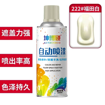 Avtomobil boya qələmləri — Wall Black and White Red Paint - 1can-self-painting-222-fukuda-white