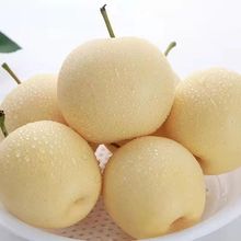 �ӱ��ʹ����������l���r���ӑ���ˮ�����𻨰߷�ѩ������羳���