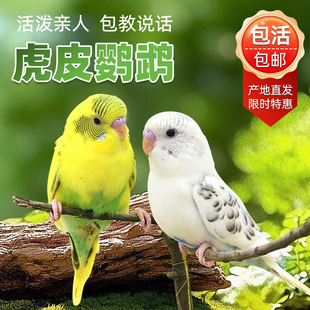 �W�^���B����녰��W�^��С�͕��fԒ���B��Ƥ�W�^������B����С�B