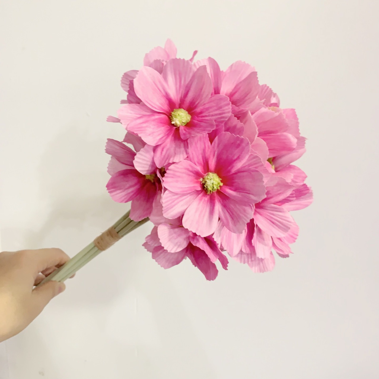 라이트 로즈 레드