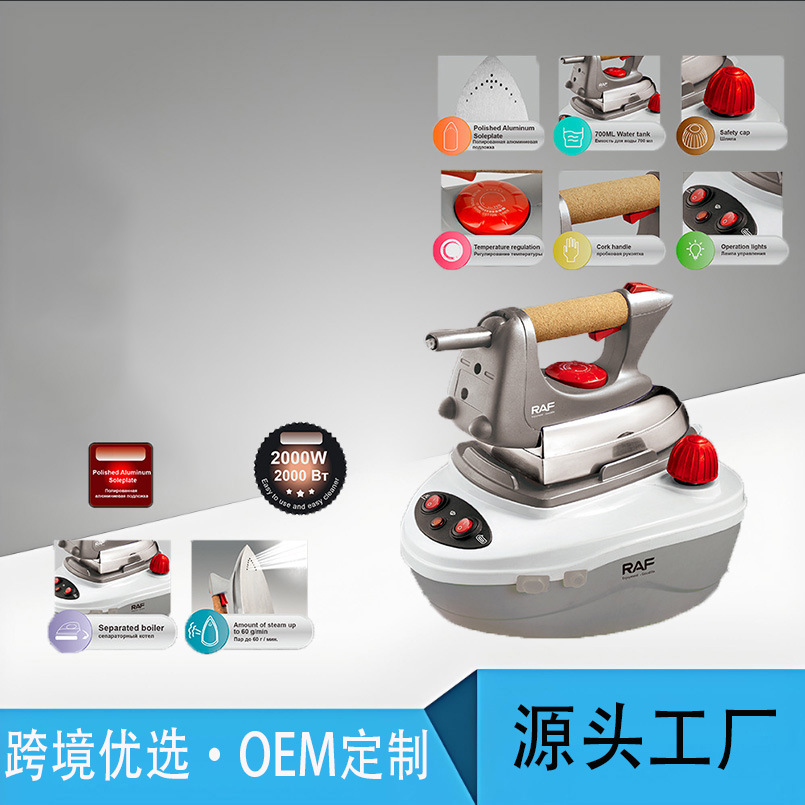 European Standard Cross-Border Pressure Steam Electric Iron Hanging Bottle Type Large Household Garment Ironing Machine High Power Iron