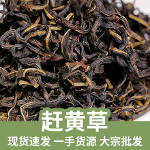 ���l�s�S�ݲ���A�s�S���~�s�S�ݗU��ɢ�b500������ă�