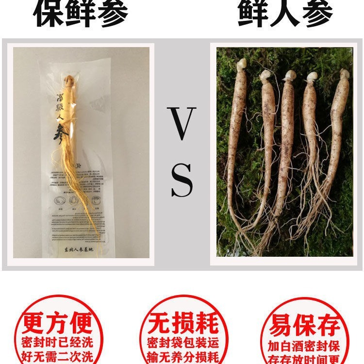 長白山人参（丸ごと根）卸売、鮮人参、生人参、酒漬け、酒造業者、火鍋、化粧品業者向け人参|undefined