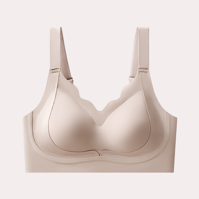 [소프트 지원]--타로 퍼플