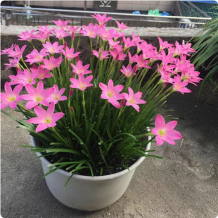 �L���m�N���ɫ�L���mֲ������������ļ��_���Gֲ�²������L���m