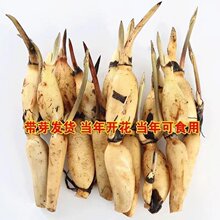 ʳ��ɏź�N�������߮a����ź��ˮ�Bˮ���߲˷۴�ź�N������B