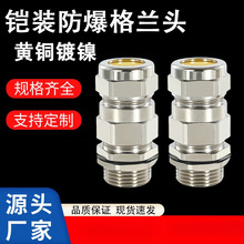 黄铜镀镍铠装防爆格兰头电缆双密封接头防水M型填料函金属夹紧G1