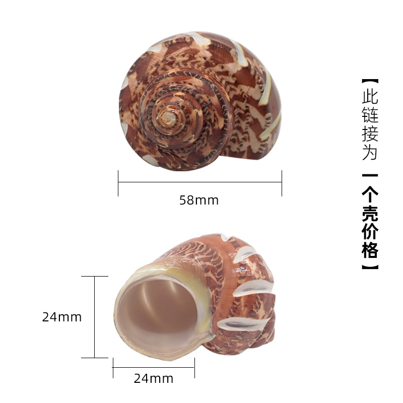 5-6cm 게에 적합한 x47 대형 얼룩말 고대 텍스트