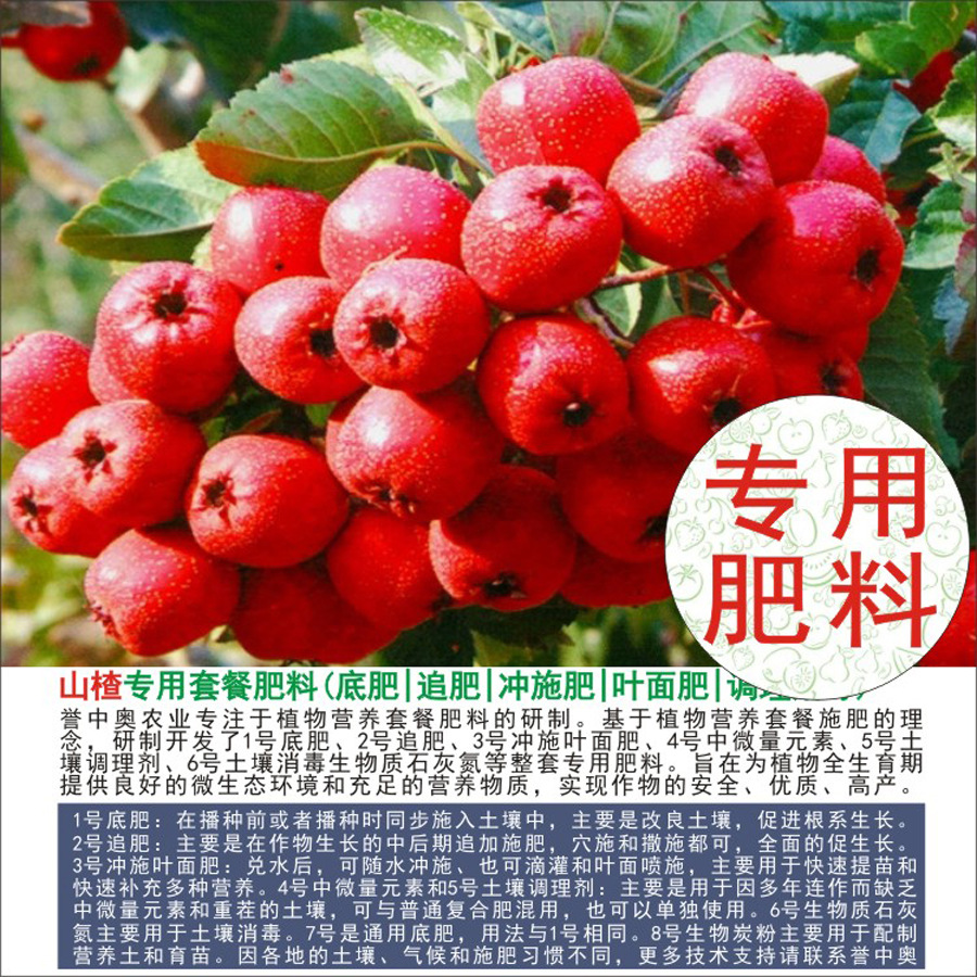 1-50аɽרлʸϷʵ׷׷Ҷʳʩˮܷ