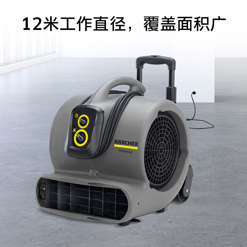 KARCHER ドイツ ケルヒャー ブロワー ホテル フロア カーペット ハイパワー 業務用送風機 AB45|undefined