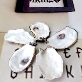 水族过滤设备;其他装饰摆件;贝类