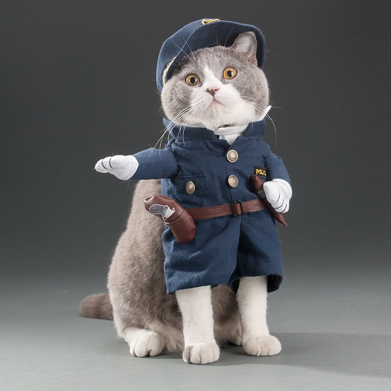 犬と猫の面白い服、面白いナイフを手にしたサモエド、かわいいビションフリーゼ、クリエイティブなペットのテディ、ファイティングドッグパロディー|undefined