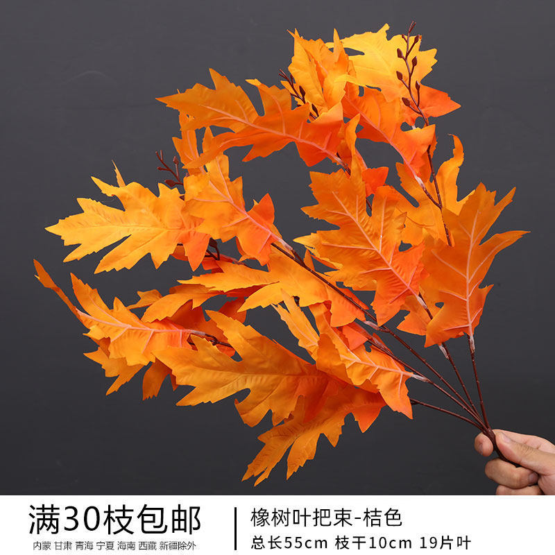 橡树叶把束