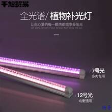 LED�����a�������ֲ�����L���҃���ɫȫ���V�m���ܷ�̫�.