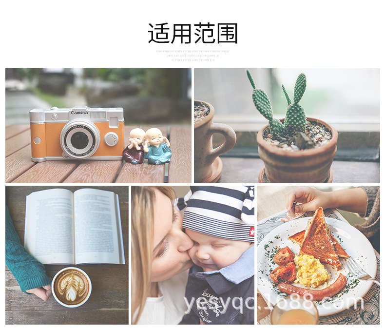 永诺YN50mmF1.8佳能口