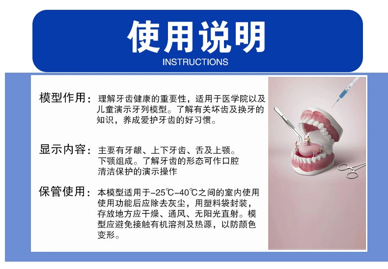 牙保健模型_17.jpg