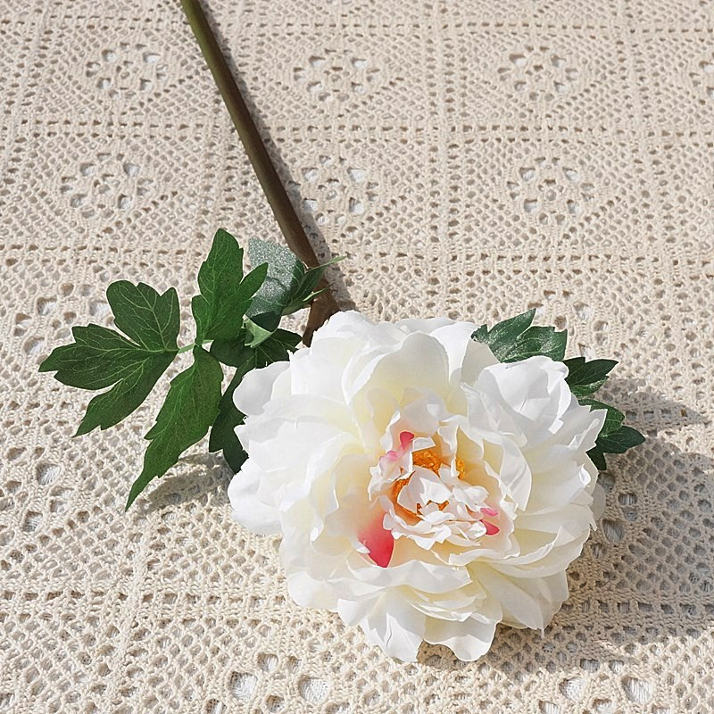 스프링 화이트