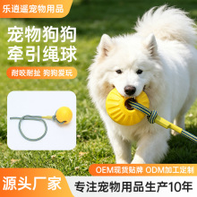 ����������д���Ȯ������������ҧ�κ�Ѳ��Ͷ�S��Ӗ���␞���