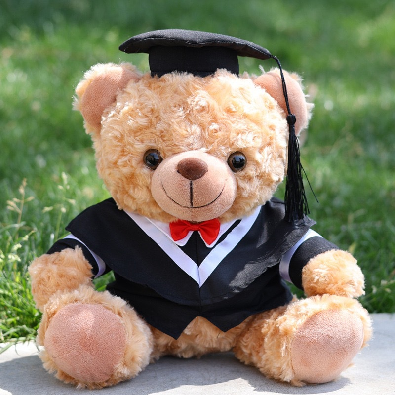 Graduation Doctor Bear Puppy se puede imprimir logotipo maestro de licenciatura Teddy Bear muñeca regalo de graduación