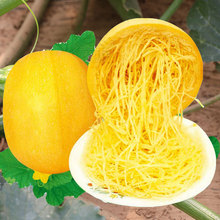 ��z���ϷN�ӷN����z�Ϸ۽z�g���S��������J�Ϲ��߲�����������