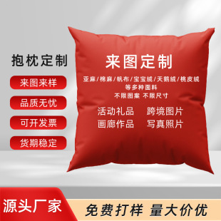 Wow Customized Pillow Amazon Cross-Border Popular New Year Sofa Pillow Ins Style Car Plush Pillow Pillow Case
