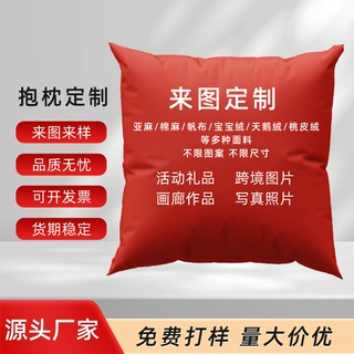 哇噢定制靠枕亚马逊跨境爆款新年沙发抱枕ins风汽车毛绒枕头枕套