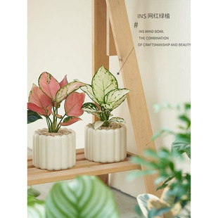 �k���������҃ȾGֲС���������L�[�����B��lؔ�����Ի��ܑ���