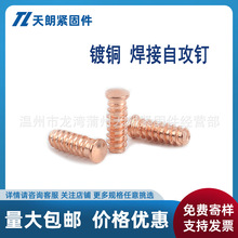 ��~�����Թ�� �����ݽz ������˨�����ݽz �c������ �N�����M5