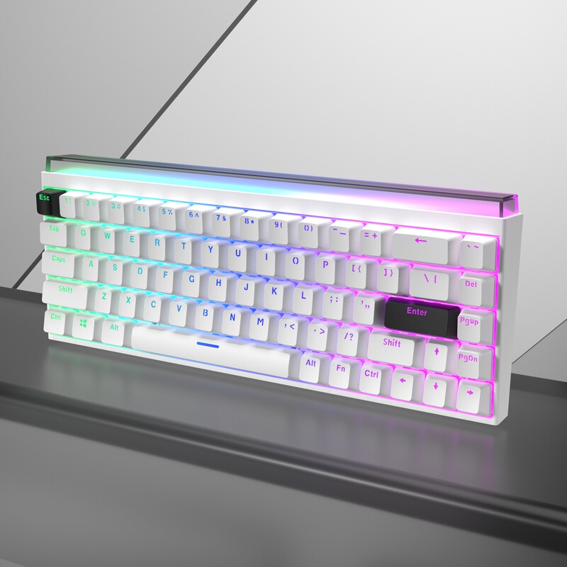 68 キーメカニカルキーボード e スポーツゲームカスタマイズされたメカニカル有線 RGB ライトボックスフルキーノーマルバットダブルカラー射出成形キー|undefined