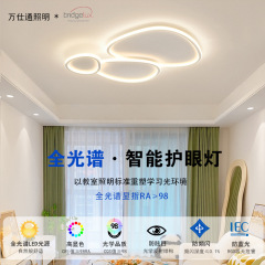 Pebble ceiling lamp modern and simple new style atmospheric high-end lighting fixtures Internet celebrity high-end super bright home living room lamp