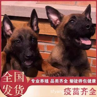 ���t�RȮ��Ȯ���N���w�CȮ�����r�RȮ��Ȯ�ǹ�����܊Ȯ��Ȯ�o�lȮ