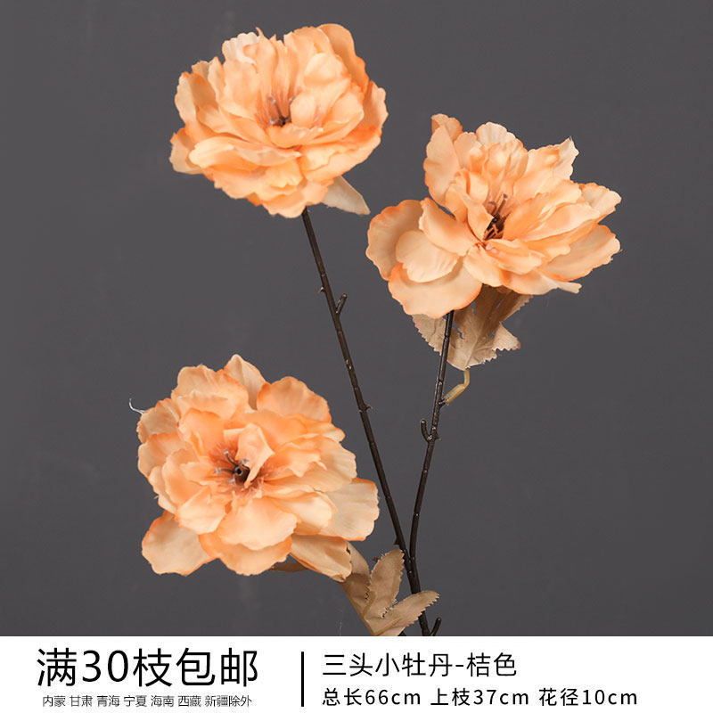 三头小牡丹