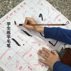 Student enlightenment brush Baiyun Langhao calligraphy beginners entry practice training class use pen wholesale