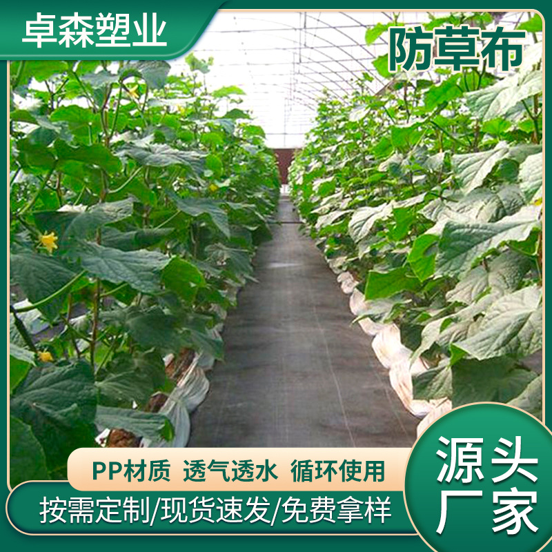 PP新料园艺除草地布大棚果园防草布塑料农用透气渗水防老化抑草布