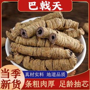 ���ڰ������ș�ďV�|�ؑc����ݾƴ���ɐ������޽�iꖰ�����؛