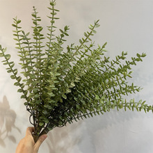 ��c���~���L֦ ��Y��·���廨�b��ļ��~�ȼ����~���l����