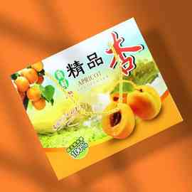 JZS55斤装红杏黄杏礼盒包装箱10斤甜杏礼品盒手提纸箱定 制水果纸