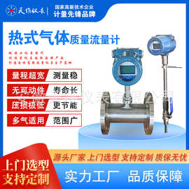 热式气体质量流量计 插入版分体式 蒸汽 方便观察 带数字显示屏