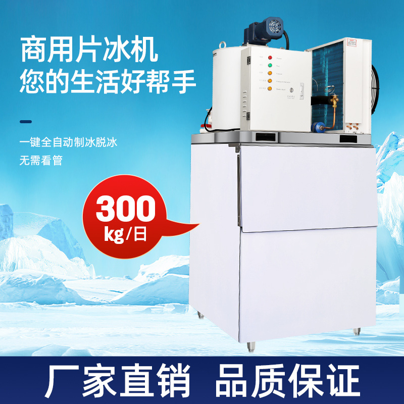 商用大容量冰柜 食品保鲜小型制冰机 超市食品冷冻海鲜冷冻片冰机