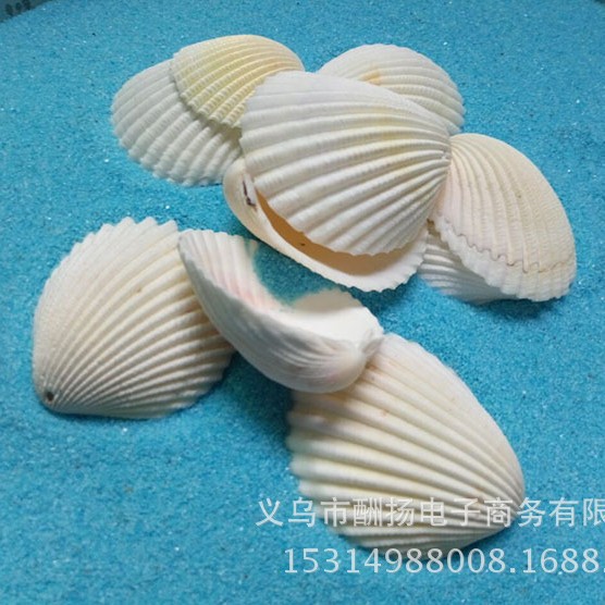 Coconut shells, 4-6cm each